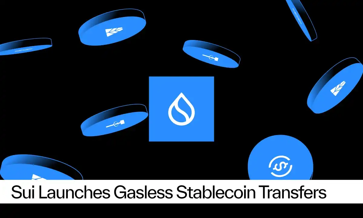 Sui Launches Gasless Stablecoin Transfers, Supported by Fireblocks