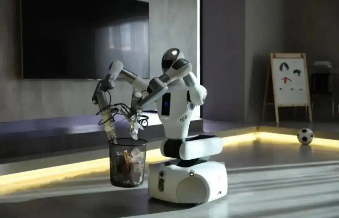 Review of Over 30 Humanoid Robot Companies: Who Will Prevail in 2026?