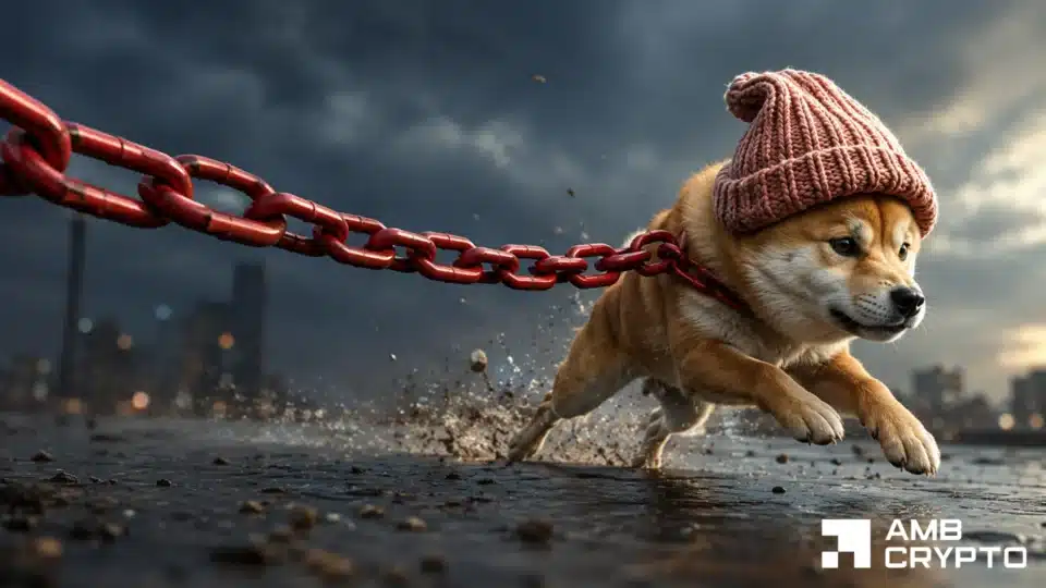 dogwifhat вырос на 16% – но мощное сопротивление стоит на пути WIF к дальнейшему росту