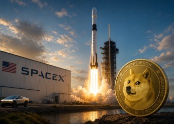 Is Dogecoin Dead Or Could The SpaceX IPO Lead To A Revival?