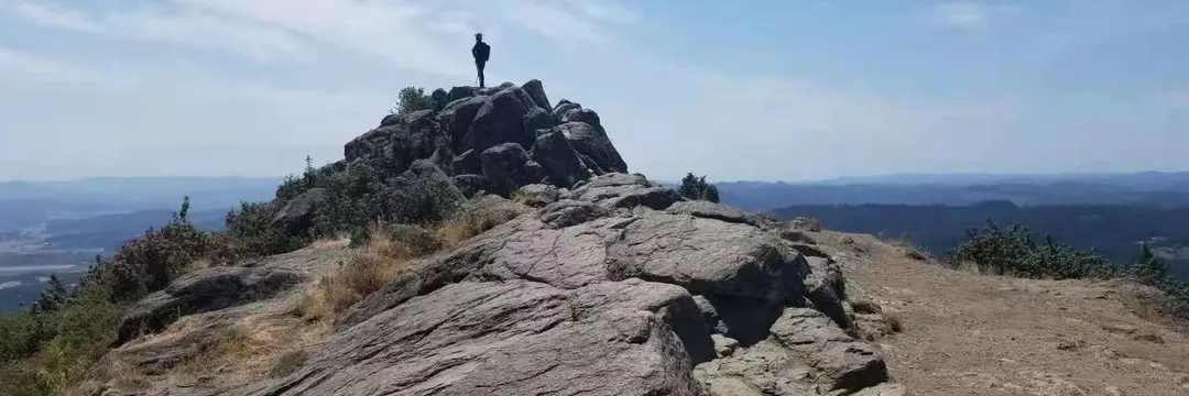 王川:当隔壁老王投资存储股票赚了三十倍后,如何还能不焦虑 (七)- 四分之一世纪的轮回