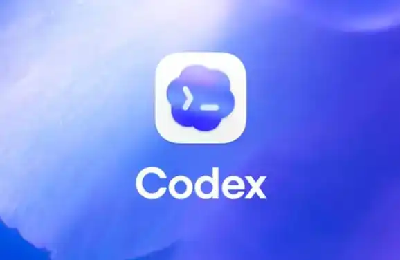 How Does Codex Use a Computer? Three Entry Points and Permission Boundaries