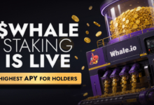 Whale.io lance Whale Printer : Staking du jeton $WHALE