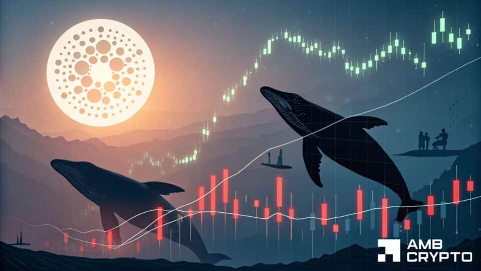 Многомесячный спад Cardano спровоцировал активность китов – грядет ли восстановление ADA?