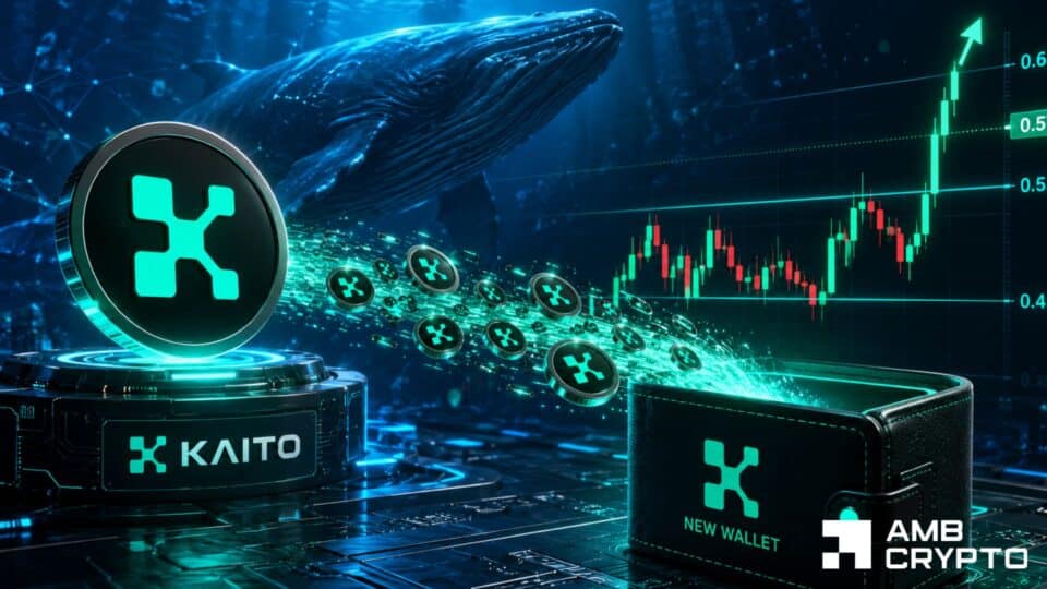 KAITO moves $10.33M in tokens – Can bulls push price to $0.65?