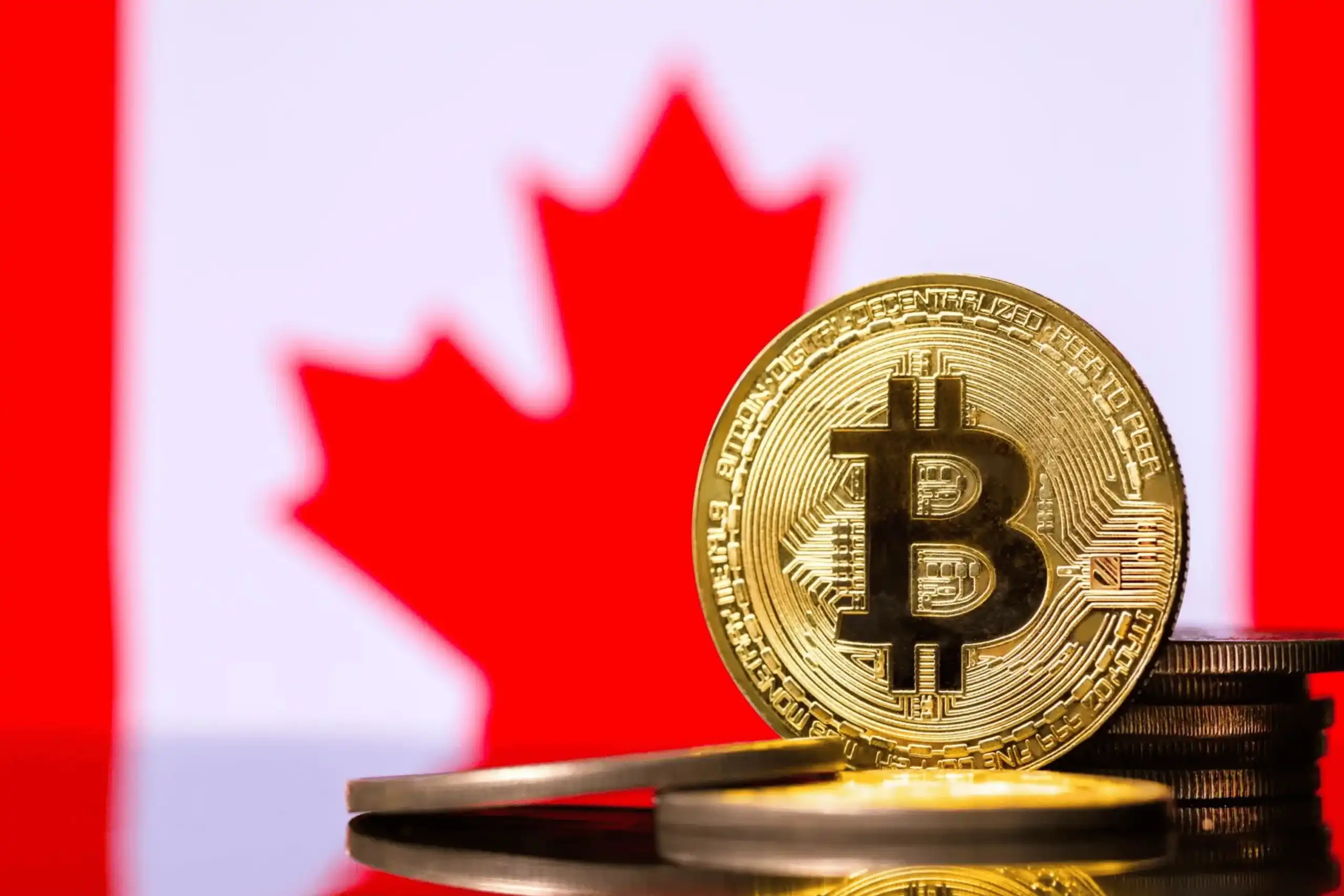 Canada MSB, Why is it More Suitable for Teams Focused on Long-Term Payment Solutions?