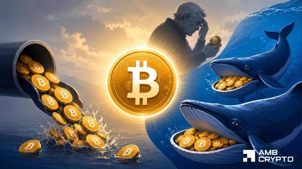 Могут ли киты BTC спасти Биткоин после оттока средств из ETF на 4,06 миллиарда долларов?
