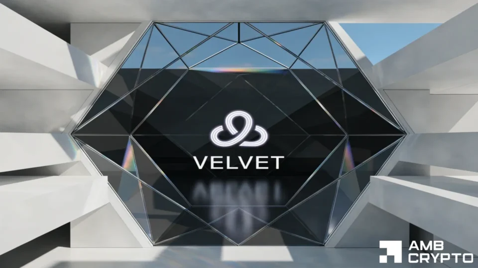 Up by 385% after 84% correction – How should you decode VELVET’s price trends?