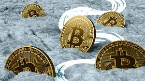 Crypto 2029: The Ultimate Forecast for the Four-Year Cycle of the Cryptocurrency Industry