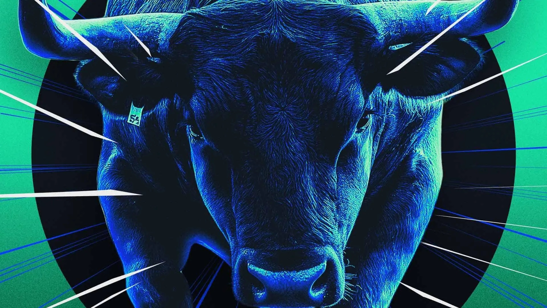 Where Will the Next Bull Market's Main Battlefield Be? The Answer Lies in These Two Types of Assets