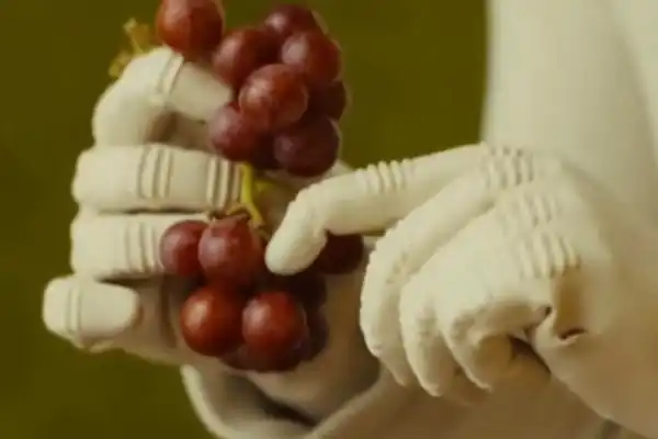 Huh? Is This a Robot's Hand?