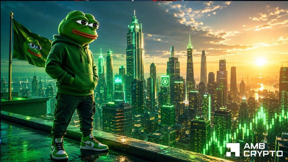 PEPE обгоняет DOGE, но отстает от BONK – В чем истинная причина 14%-го роста