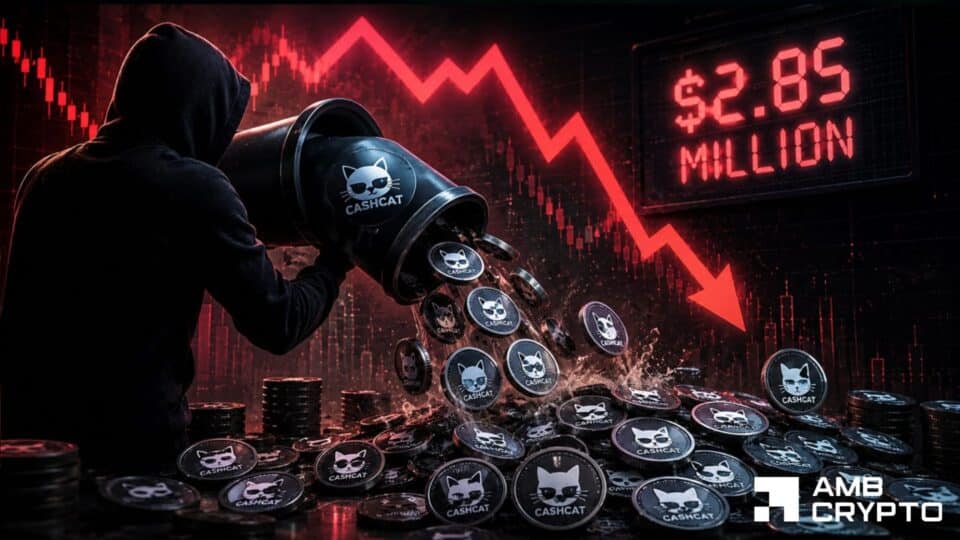 CASHCAT cae un 32% tras que una ballena retira $2,85M – ¿Soportará los $0,10?