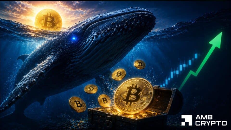 Menilai Pergerakan Samping Bitcoin Saat Paus Bitcoin Senilai $290 Juta yang Tidak Aktif Kembali Memuat
