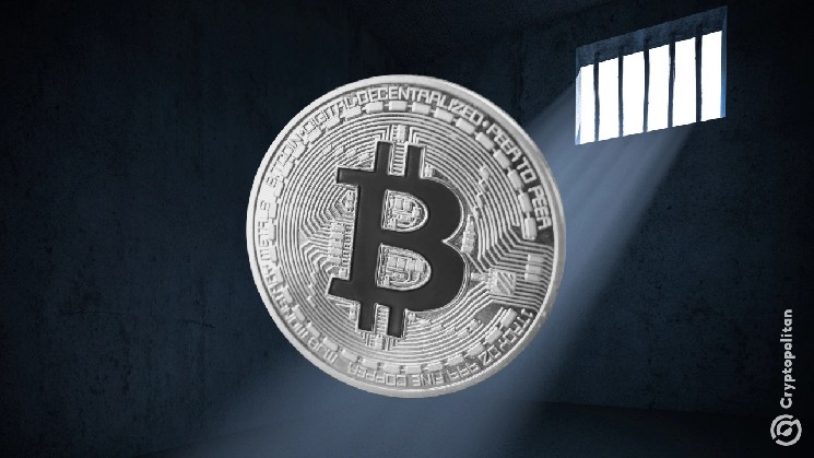 Слайдеры от Samsung и SK Hynix — ранний индикатор риска для Bitcoin трейдеров