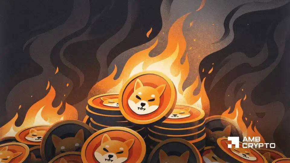 Shiba Inu cae un 5% a pesar de la mayor quema de tokens en 6 meses – ¡He aquí por qué!