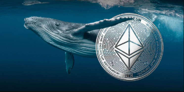 Major Ethereum Investor Continues Buying Spree, Making Large Purchases of This Coin Alongside ETH! Here Are the Details