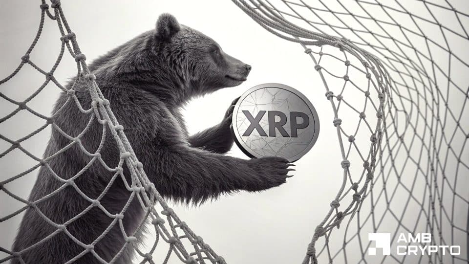 Is XRP’s $1 price zone a bear trap? Here’s what the data suggests