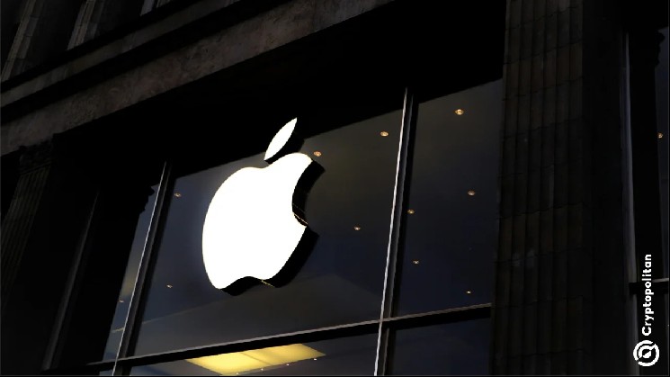Apple Shares Fall Amid Supply Chain Warnings That Marred Record Quarter