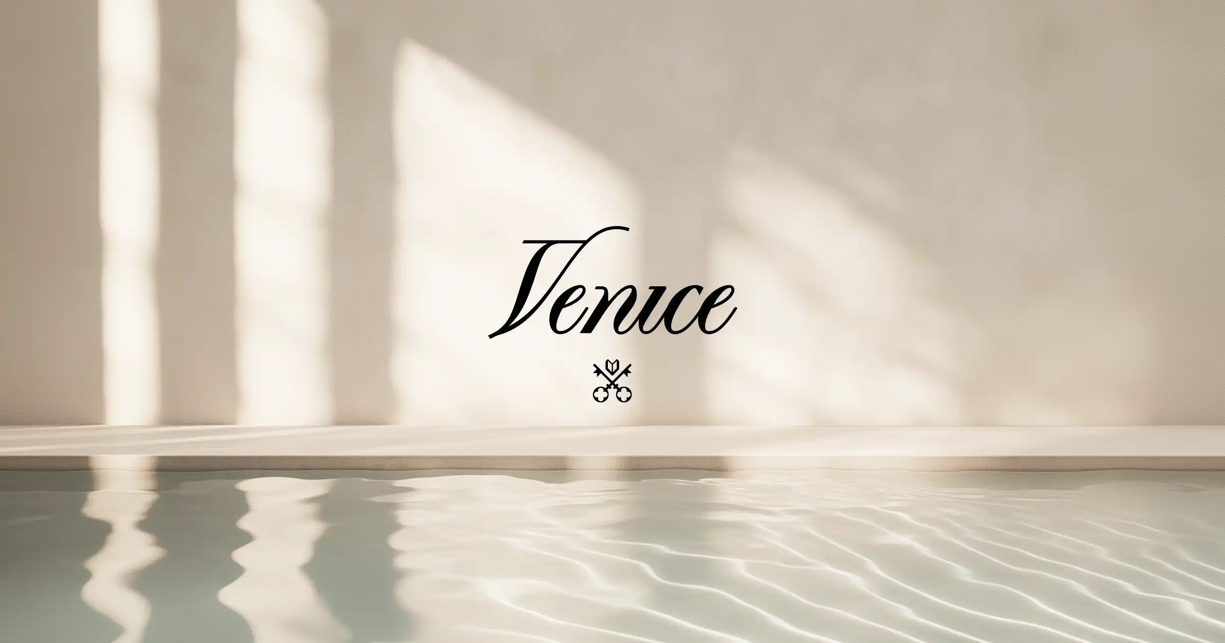 Venice AI Raises $65 Million at a $1 Billion Valuation, Founder Declares "No Token Sales", Is $VVV Set for a New Catalyst?