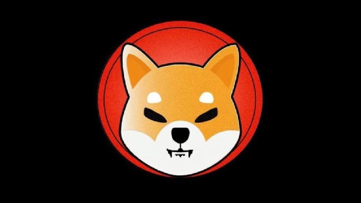 Why Did the Price of Shiba Inu (SHIB) Suddenly Rise Sharply? What's Next?