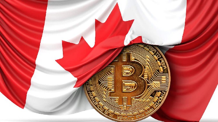 The Share of Cryptocurrency Owners in Canada Rose to 25% in 2026