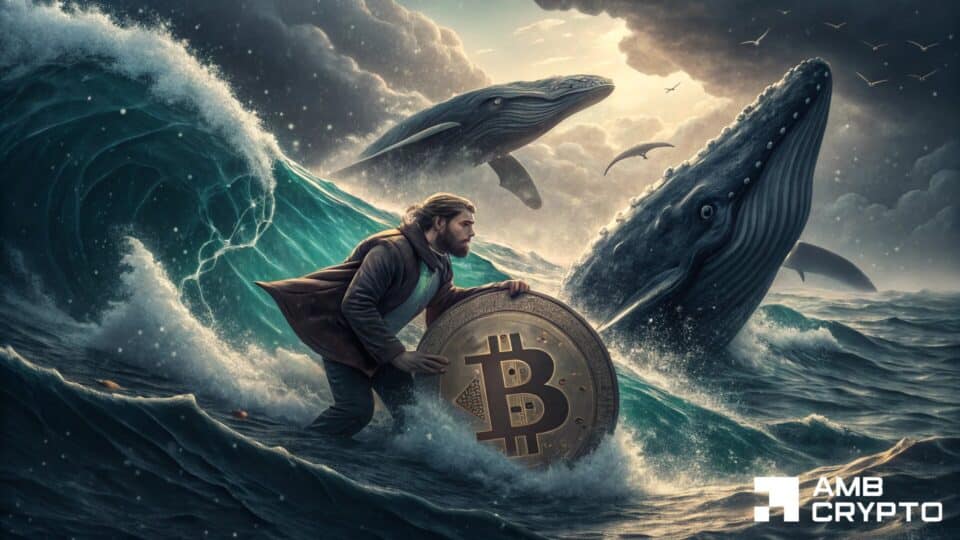 比特币价格坚守在6万美元上方——但多头陷阱是否正在酝酿？