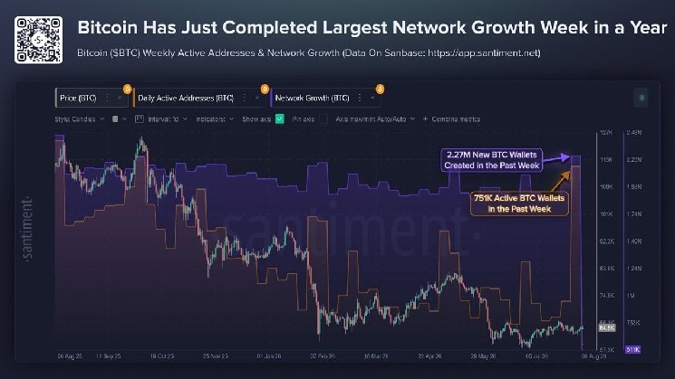 Number of Bitcoin Wallets Reaches Highest Since 2026 Amid Growing Fallout from Coldcard Hack