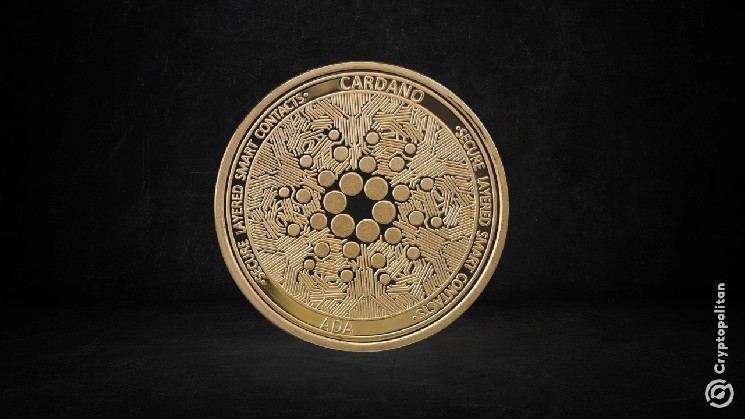 Technical Director of Cardano Foundation to Resign in August This Year