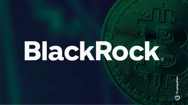 BlackRock Claims Rising US National Debt Strengthens Bitcoin's Position as a Hedging Tool