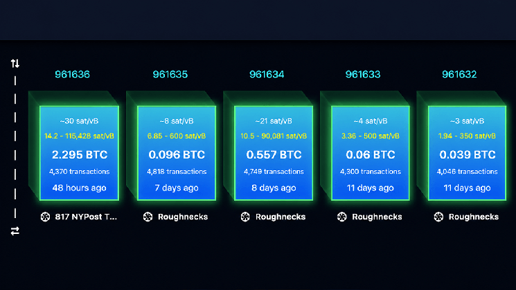 Concerns Grow Over Replay Attacks as BIP-110 Proponents Label Bitcoin 'Spamcoin'