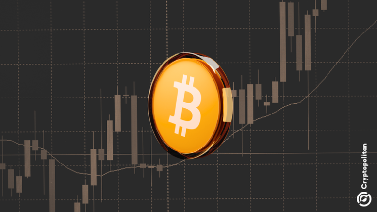 Bitcoin Recovers Short-Term Holder Cost Basis as Weekly Moving Average Holds at $81,000