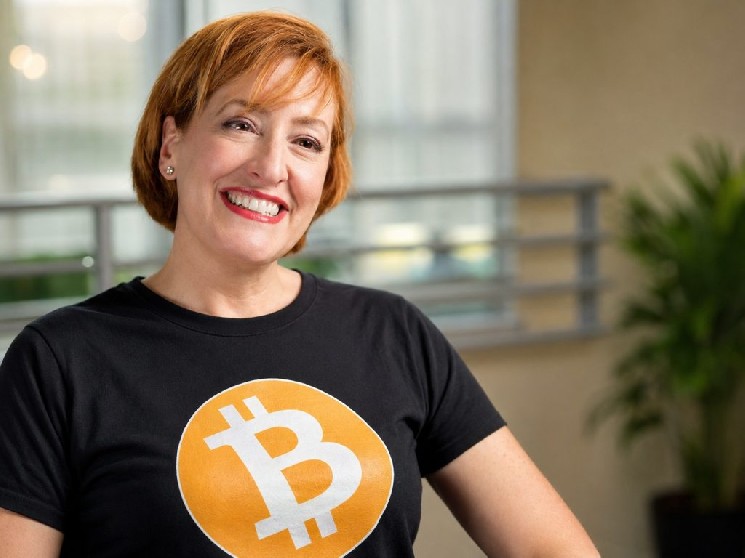 Why Has Bitcoin Really Risen So Sharply? Is the Four-Year Cycle Enough? Here's Caitlin Long's Opinion