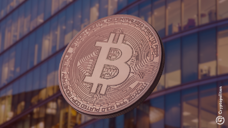Strive公司通过出售股票融资购买1110枚比特币,但一周后现金储备不减反增