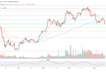Upbit Rebalances 864B SHIB In Internal Wallet Move