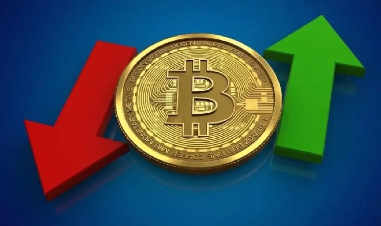 Are Bitcoin and Altcoins Finally About to Soar? Small Wallets Exhausted, Large Whales Accumulating Funds!