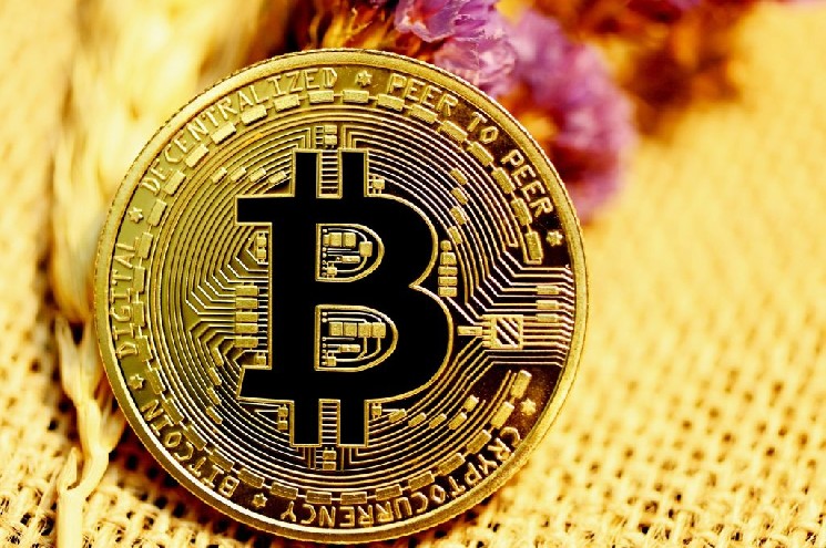 Se actualizan los datos sobre Bitcoin y altcoins en la cadena de bloques: mantente al día con la información más reciente