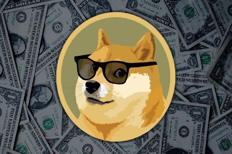 Analyst Claims Dogecoin Could See a Surge! 'Similar to the One in 2022...'
