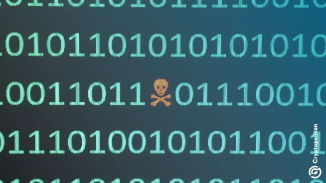 Wallet Connection Prompts Are a Sign of a Fake AML Check Website