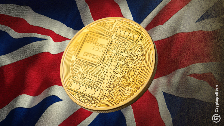 The UK tax authority's (HMRC) first crypto data shows young male minority captured most of the profits