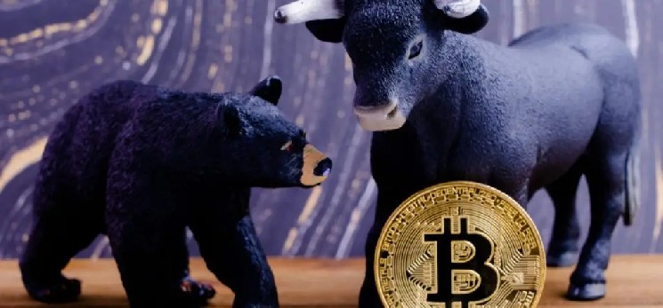 VanEck's CEO Matthew Sigel: 'If the Clarity Act is passed, there will be massive growth in cryptocurrency'