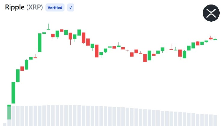 Number of Active XRP Addresses Reaches Two-Month High Amid Worsening Market Sentiment