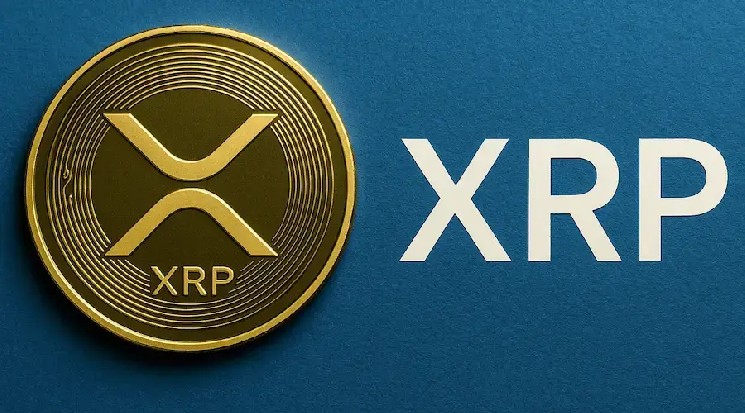 XRP Ledger网络活跃地址数量两周内激增655%