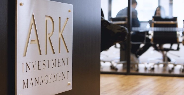 ARK Invest's Cathie Wood Buys 109,129 Circle Shares Worth $6.83 Million