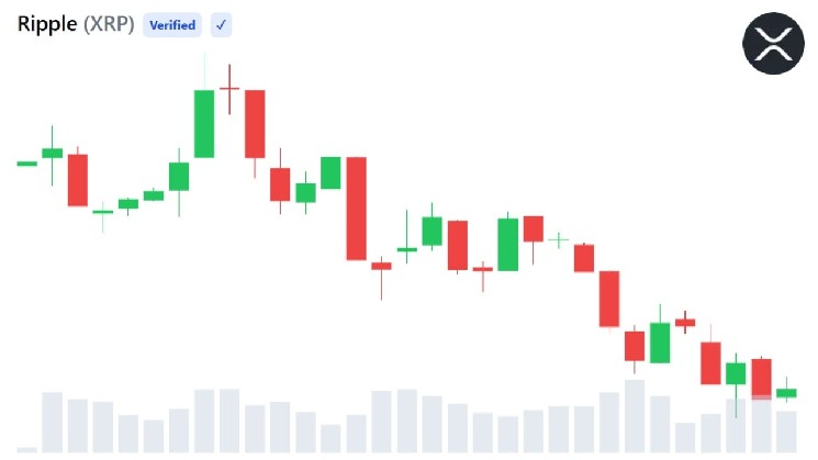 XRP Price Falls 69% from Peak While Activity of Existing Wallets Increases