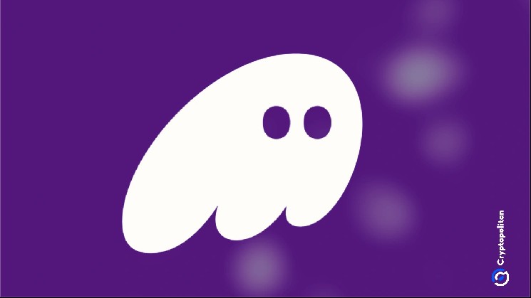 Phantom Discontinues Support for Sui as Network Struggles to Recover