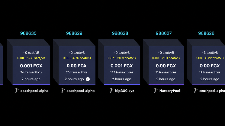 Bitcoin Fork ECX, Created by Paul Sztorc, Surpasses 25,000 Blocks in Just 13 Hours