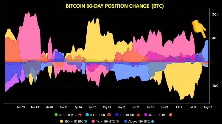 比特币「鲸鱼投资者」增持43,000 BTC，结束持续数月的抛售浪潮