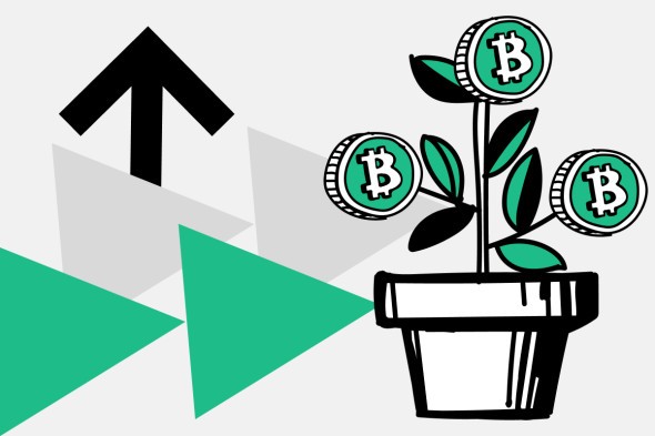 Bitcoin Price Surge in August. A Temporary Spike or the Start of a New Cycle