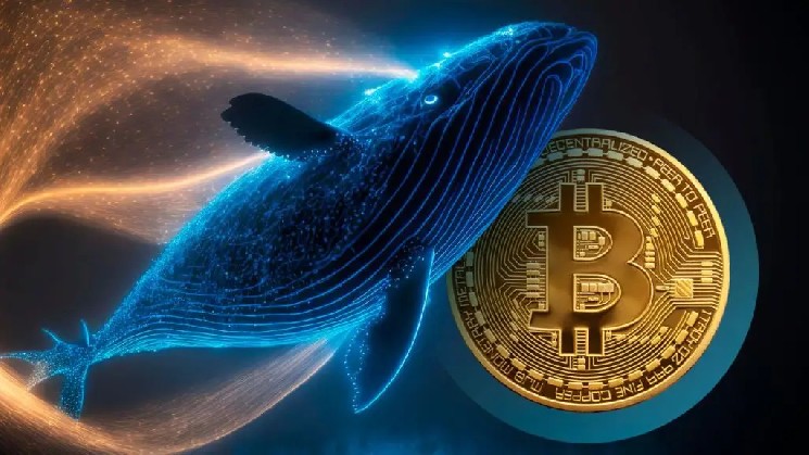 CryptoQuant: Large Investors Are Buying Bitcoin, Ethereum, and XRP, the Bear Market May Be Approaching Its Final Stage!